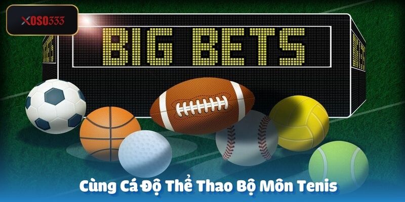 Tennis là một trong những bộ môn thể thao đầy sức hút tại sảnh cá độ thể thao Xoso333