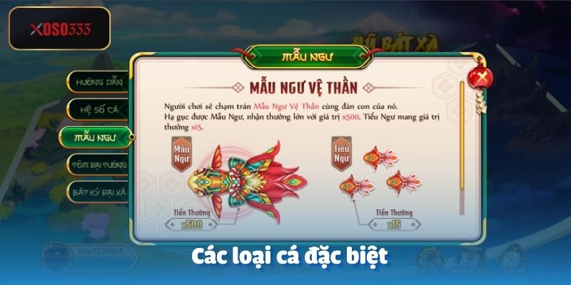 Bách Quỷ Dạ Hành – Bắn Cá Truy Diệt Yêu Quái Tại Xoso333 3 Các loại cá đặc biệt trong tựa game bách quỷ dạ hành