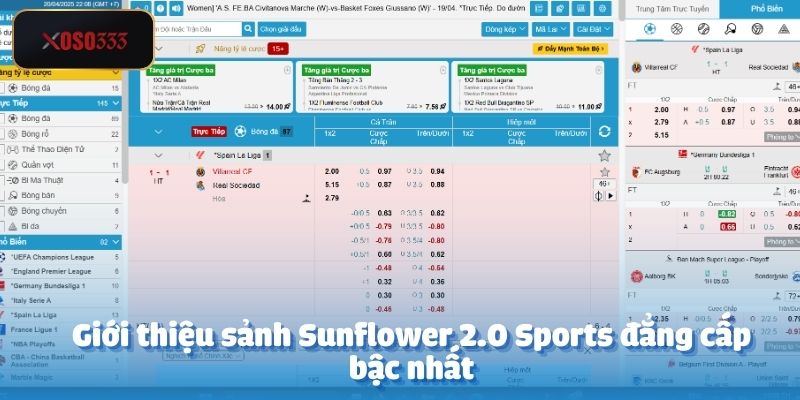 Cá Cược Bóng Đá Sunflower 2.0 Sports Tại Xoso333 2 Giới thiệu sảnh Sunflower 2.0 Sports đẳng cấp bậc nhất