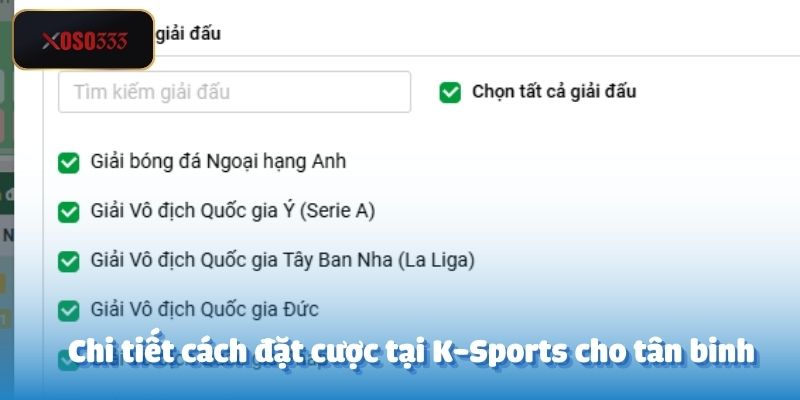 K-Sports Xoso333 – Cá Cược Thể Thao Chuẩn Quốc Tế 3 Chi tiết cách đặt cược tại K-Sports cho tân binh