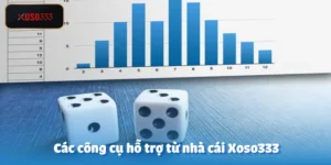 Các công cụ hỗ trợ từ nhà cái Xoso333