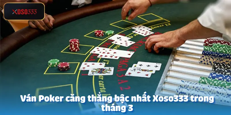 Sát thủ Poker Trí Đen thắng 300 triệu tại Xoso333 3 Sát thủ Poker Trí Đen không lên tiếng thắng 300 triệu tại Xoso333